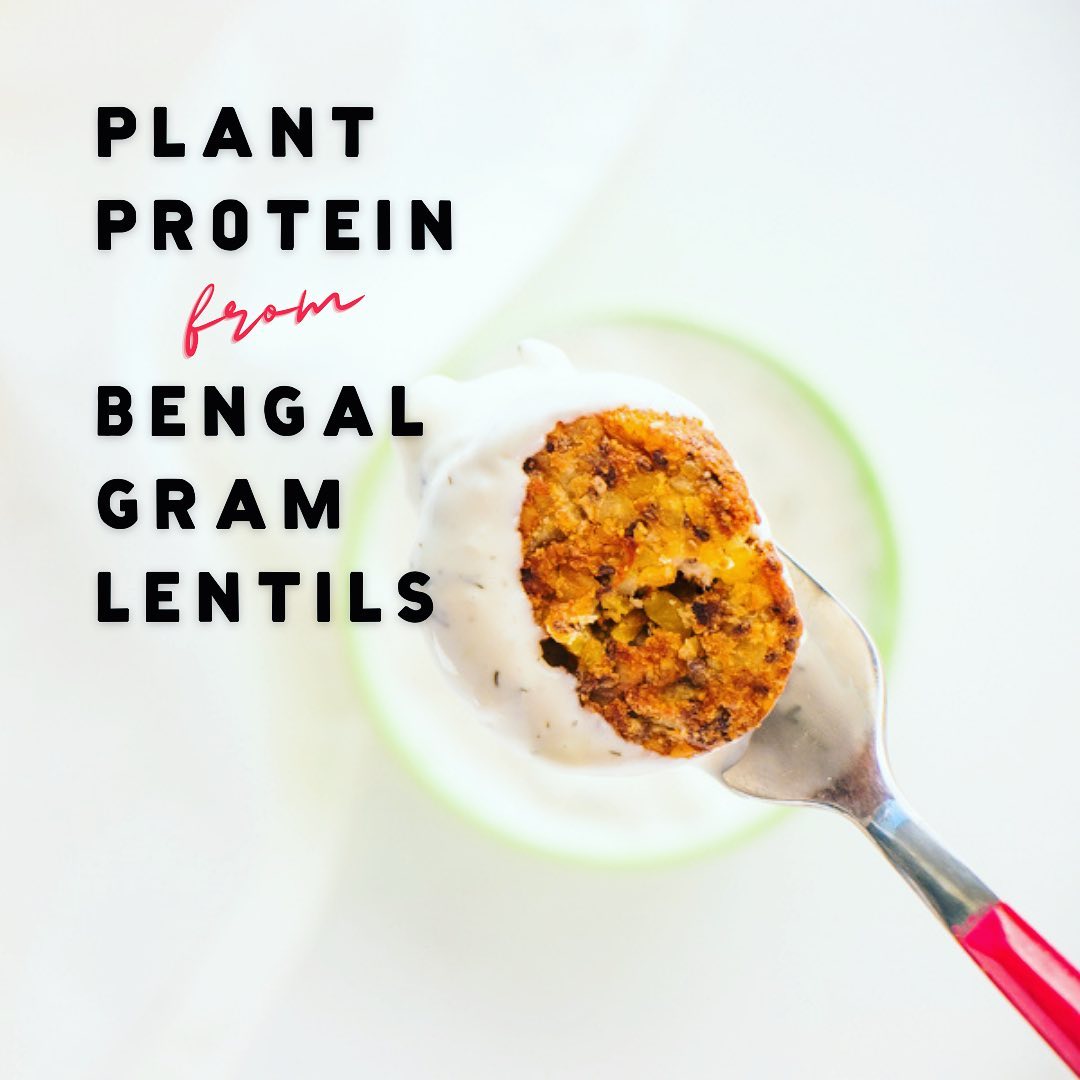 Plant Protein from Bengal Gram Lentils