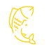 no fish